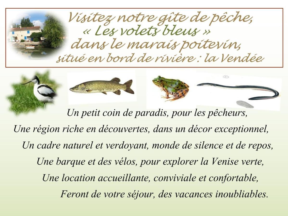 Marais Poitevin Bord Riviere Peche ,Barque, Velos, Wifi, Linge, Cheminee, Cuisine, Terrain De Boules La Taillee Zewnętrze zdjęcie